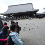 DSCF8744