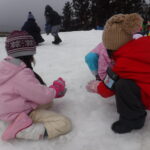 DSCF0553