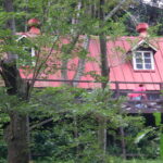 DSCF1194