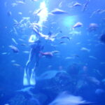 DSCF1583